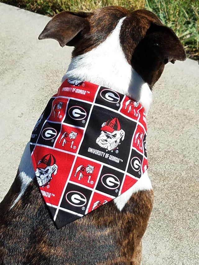 Uga dog bandana sales