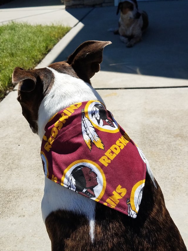 Redskins dog sweater sale